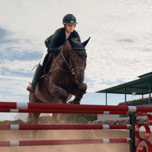 Basic Horse Riding
