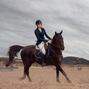 Dressage Training