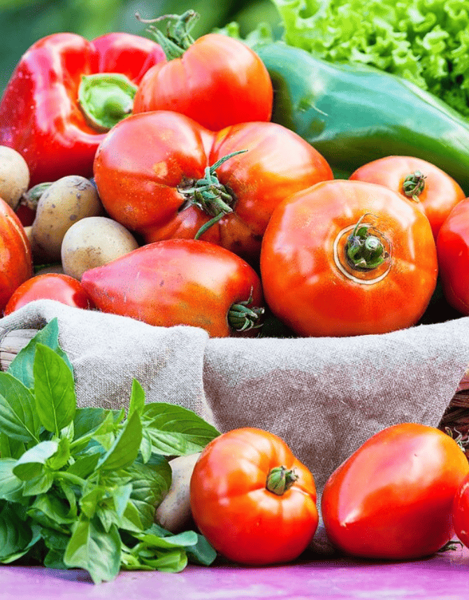 Agriculture Products