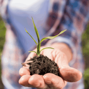 Eco-friendly Pesticides