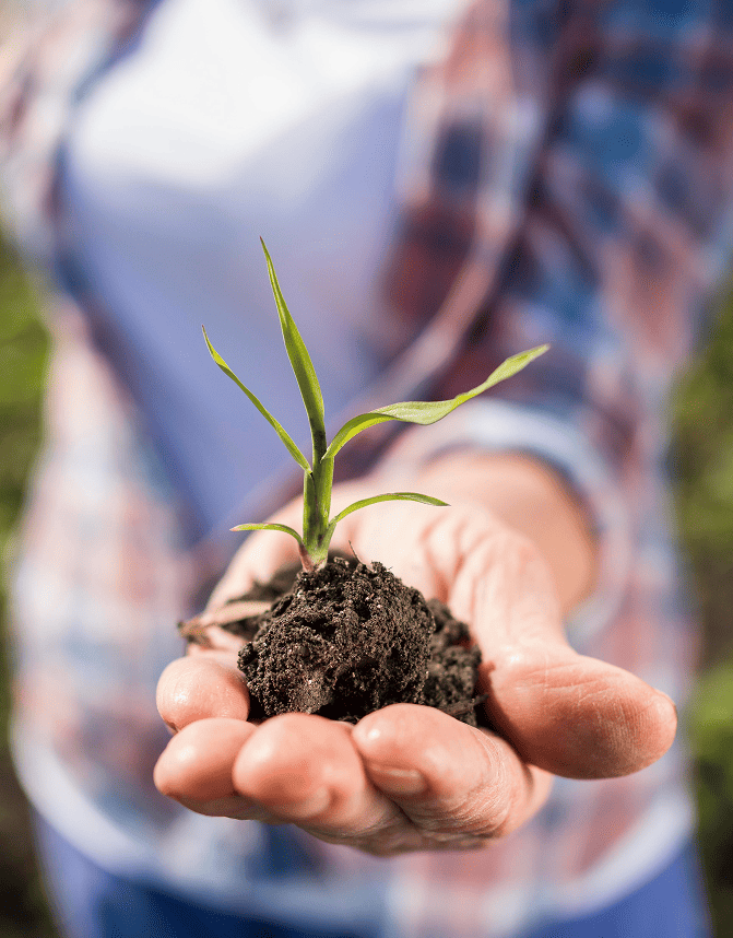 Eco-friendly Pesticides