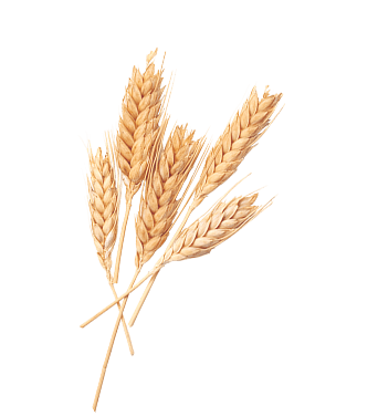 Crop Image