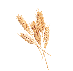 Crop Image