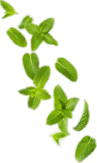 Leaf Image