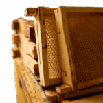 Bee Hive Frames