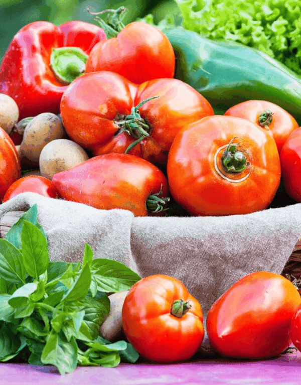 Farm Cultivation Products